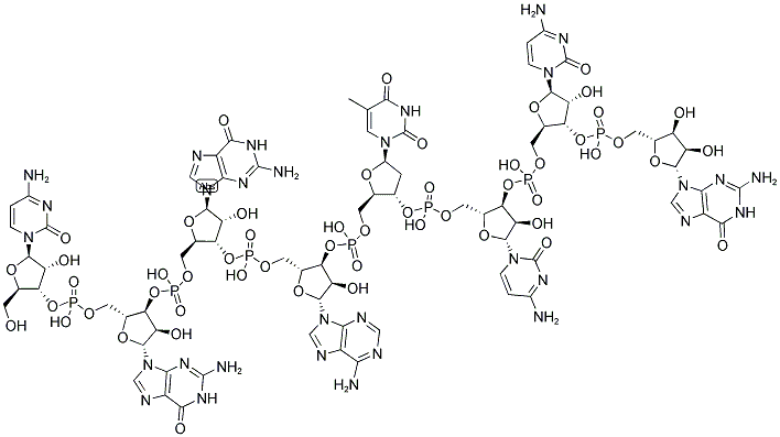 BAMH I LINKER, 5'-NON-PHOSPHORYLATED Struktur