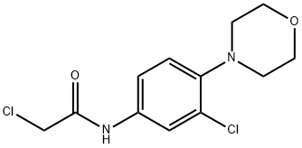 2-CHLORO-N-(3-CHLORO-4-MORPHOLIN-4-YL-PHENYL)-ACETAMIDE Struktur