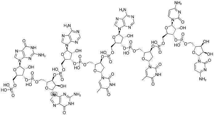 ECOR V LINKER, 5'-PHOSPHORYLATED Struktur