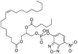 1-OLEOYL-2-[6-[(7-NITRO-2-1,3-BENZOXADIAZOL-4-YL)AMINO]CAPROYL]-SN-GLYCERO-3-PHOSPHATE(MONOSODIUM SALT) Struktur