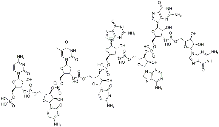 CCCTCGAGGG, 5'-PHOSPHORYLATED Struktur