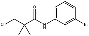 N-(3-BROMOPHENYL)-3-CHLORO-2,2-DIMETHYLPROPANAMIDE Struktur