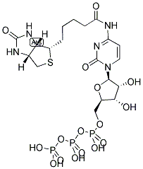 BIOTIN-N4-CTP Struktur