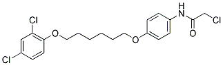 N1-(4-([6-(2,4-DICHLOROPHENOXY)HEXYL]OXY)PHENYL)-2-CHLOROACETAMIDE Struktur