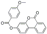 AURORA 519 Struktur