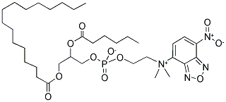 1-PALMITOYL-2-[6-[(7-NITRO-2-1,3-BENZOXADIAZOL-4-YL)AMINO]CAPROYL]-SN-GLYCERO-3-PHOSPHOCHOLINE Struktur