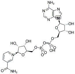 NICOTINAMIDE ADENINE DINUCLEOTIDE, [ADENYLATE-32P]- Struktur