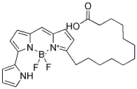 4,4-DIFLUORO-5-(2-THIENYL)-4-BORA-3A,4A-DIAZA-S-INDACENE-3-DODECANOIC ACID Struktur