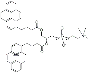 1,2-BIS-(1-PYRENEBUTANOYL)-SN-GLYCERO-3-PHOSPHOCHOLINE Struktur