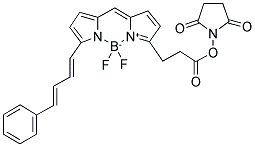 4,4-DIFLUORO-5-(4-PHENYL-1,3-BUTADIENYL)-4-BORA-3A,4A-DIAZA-S-INDACENE-3-PROPIONIC ACID, SUCCINIMIDYL ESTER Struktur