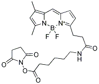 6-((4,4-DIFLUORO-5,7-DIMETHYL-4-BORA-3A,4A-DIAZA-S-INDACENE-3-PROPIONYL) AMINO)-HEXANOIC ACID, SUCCINIMIDYL ESTER Struktur