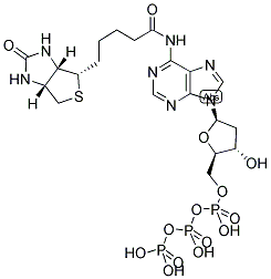 BIOTIN-N6-DATP Struktur