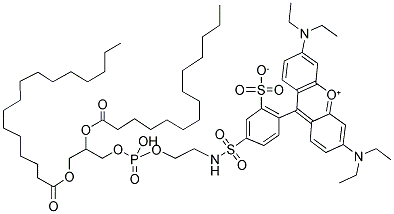 1,2-DIPALMITOYL-SN-GLYCERO-3-PHOSPHOETHANOLAMINE-N-(LISSAMINE RHODAMINE B SULFONYL) Struktur