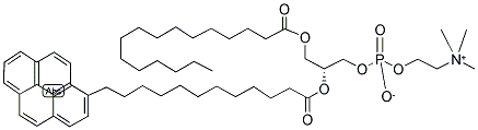 1-HEXADECANOYL-2-(3-PERYLENEDODECANOYL)-SN-GLYCERO-3-PHOSPHOCHOLINE Struktur