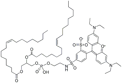 1,2-DIOLEOYL-SN-GLYCERO-3-PHOSPHOETHANOLAMINE-N-(LISSAMINE RHODAMINE B SULFONYL) Struktur