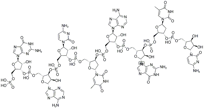 GACTAGTC, 5'-PHOSPHORYLATED Struktur