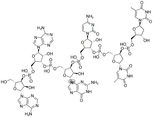 AAGCTT, 5'-NON-PHOSPHORYLATED Struktur