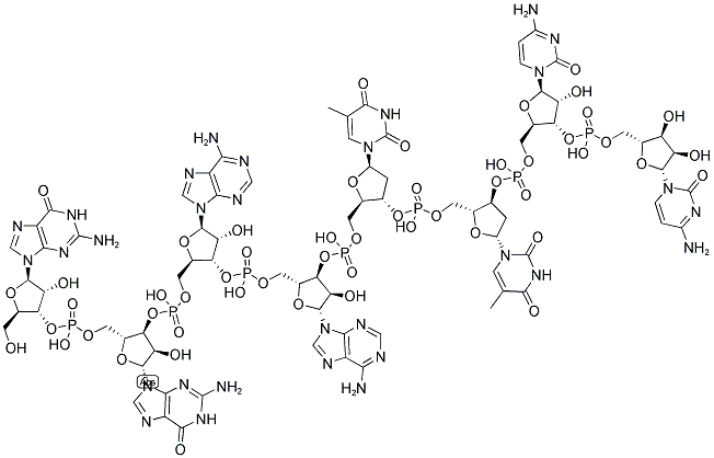 ECOR I LINKER, 5'-NON-PHOSPHORYLATED Struktur