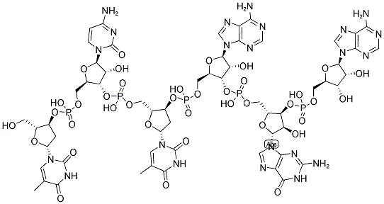 TCTAGA, 5'-NON-PHOSPHORYLATED Struktur