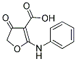 2-ANILINO-4-OXO-4,5-DIHYDROFURAN-3-CARBOXYLIC ACID Struktur