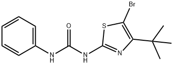 N-[5-BROMO-4-(TERT-BUTYL)-1,3-THIAZOL-2-YL]-N'-PHENYLUREA Struktur