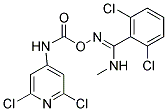 2,6-DICHLORO-N'-(([(2,6-DICHLOROPYRIDIN-4-YL)AMINO]CARBONYL)OXY)-N-METHYLBENZENECARBOXIMIDAMIDE Struktur