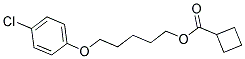 5-(4-CHLOROPHENOXY)PENTYL CYCLOBUTANE-1-CARBOXYLATE Struktur