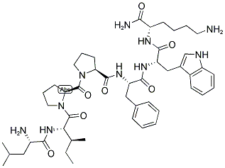 CTX IV (6-12) Struktur