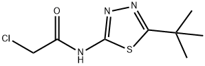 N-(5-TERT-BUTYL-[1,3,4]THIADIAZOL-2-YL)-2-CHLORO-ACETAMIDE Struktur