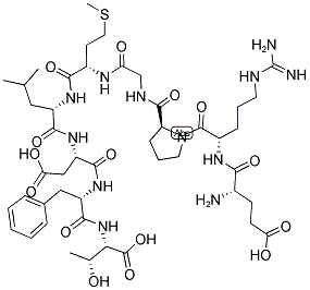 DBI (42-50), HUMAN Struktur