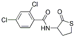 2,4-DICHLORO-N-(2-OXOTETRAHYDRO-3-THIOPHENYL)BENZENECARBOXAMIDE Struktur