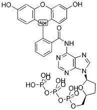 FLUORESCEIN-N6-DDATP Struktur