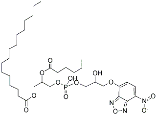 1-PALMITOYL-2-[6-[(7-NITRO-2-1,3-BENZOXADIAZOL-4-YL)AMINO]CAPROYL]-SN-GLYCERO-3-[PHOSPHO-RAC-(1-GLYCEROL)] (SODIUM SALT) Struktur