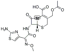 CEFOTAXIME