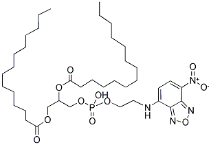 1,2-DIMYRISTOYL-SN-GLYCERO-3-PHOSPHOETHANOLAMINE-N-(7-NITRO-2-1,3-BENZOXADIAZOL-4-YL) Struktur