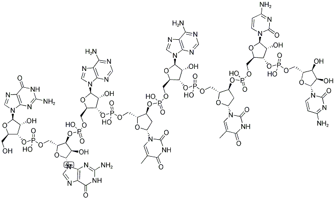 ECOR V LINKER, 5'-NON-PHOSPHORYLATED Struktur