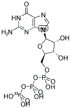 GTP[GAMMA-33P] Struktur