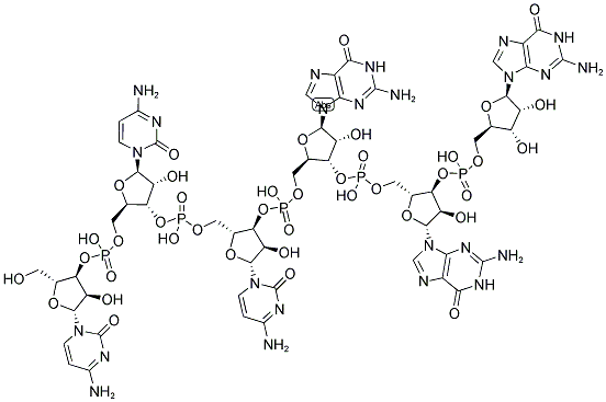 CCCGGG, 5'-NON-PHOSPHORYLATED Struktur