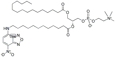 2-(12-(7-NITROBENZ-2-OXA-1,3-DIAZOL-4-YL)AMINO)DODECANOYL-1-HEXADECANOYL-SN-GLYCERO-3-PHOSPHOCHOLINE Struktur