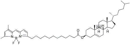 CHOLESTERYL 4,4-DIFLUORO-5,7-DIMETHYL-4-BORA-3A,4A-DIAZA-S-INDACENE-3-DODECANOATE Struktur