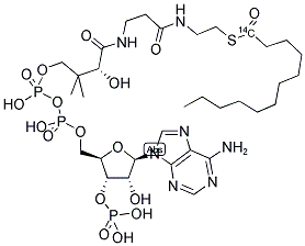 LAUROYL COENZYME A, [LAUROYL-1-14C] Struktur