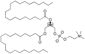 1,2-DIHENEICOSANOYL-SN-GLYCERO-3-PHOSPHOCHOLINE