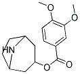 8-AZABICYCLO[3.2.1]OCT-3-YL 3,4-DIMETHOXYBENZOATE Struktur