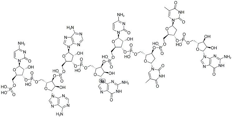 CAAGCTTG, 5'-PHOSPHORYLATED Struktur