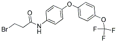 N1-(4-[4-(TRIFLUOROMETHOXY)PHENOXY]PHENYL)-3-BROMOPROPANAMIDE Struktur