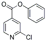 PHENYL 2-CHLOROISONICOTINATE Struktur