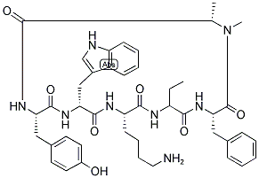 BIM-23027 Struktur