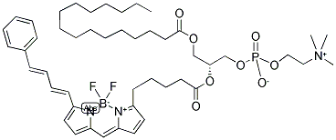 2-(4,4-DIFLUORO-5-(4-PHENYL-1,3-BUTADIENYL)-4-BORA-3A,4A-DIAZA-S-INDACENE-3-PENTANOYL)-1-HEXADECANOYL-SN-GLYCERO-3-PHOSPHOCHOLINE Struktur