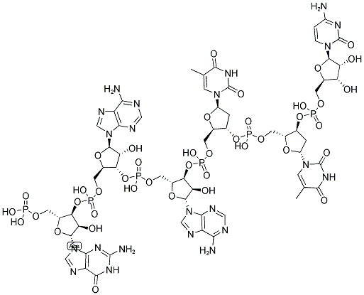 CCGGAATTCCGG, 5'-PHOSPHORYLATED Struktur