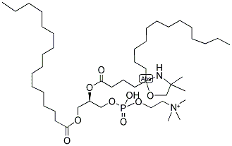 1-PALMITOYL-2-STEAROYL-(5-DOXYL)-SN-GLYCERO-3-PHOSPHOCHOLINE Struktur